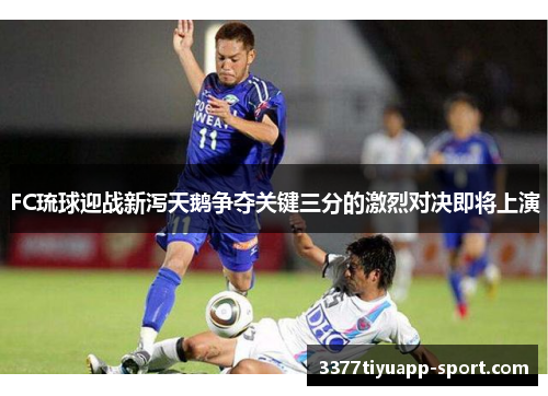 FC琉球迎战新泻天鹅争夺关键三分的激烈对决即将上演