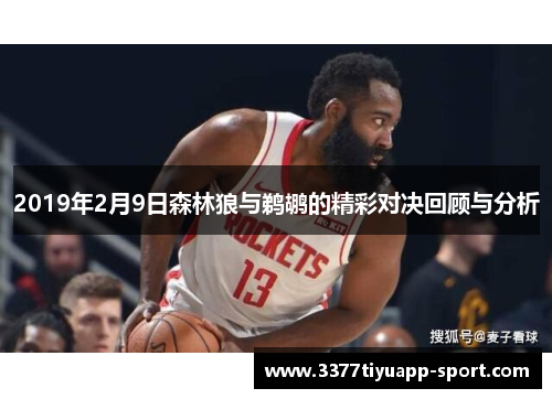 2019年2月9日森林狼与鹈鹕的精彩对决回顾与分析