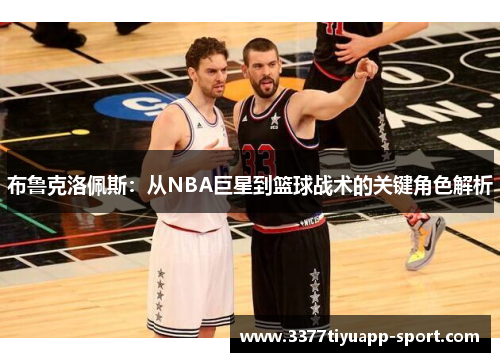 布鲁克洛佩斯：从NBA巨星到篮球战术的关键角色解析